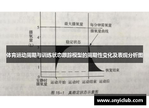 体育运动周期与训练状态跟踪模型的周期性变化及表现分析图
